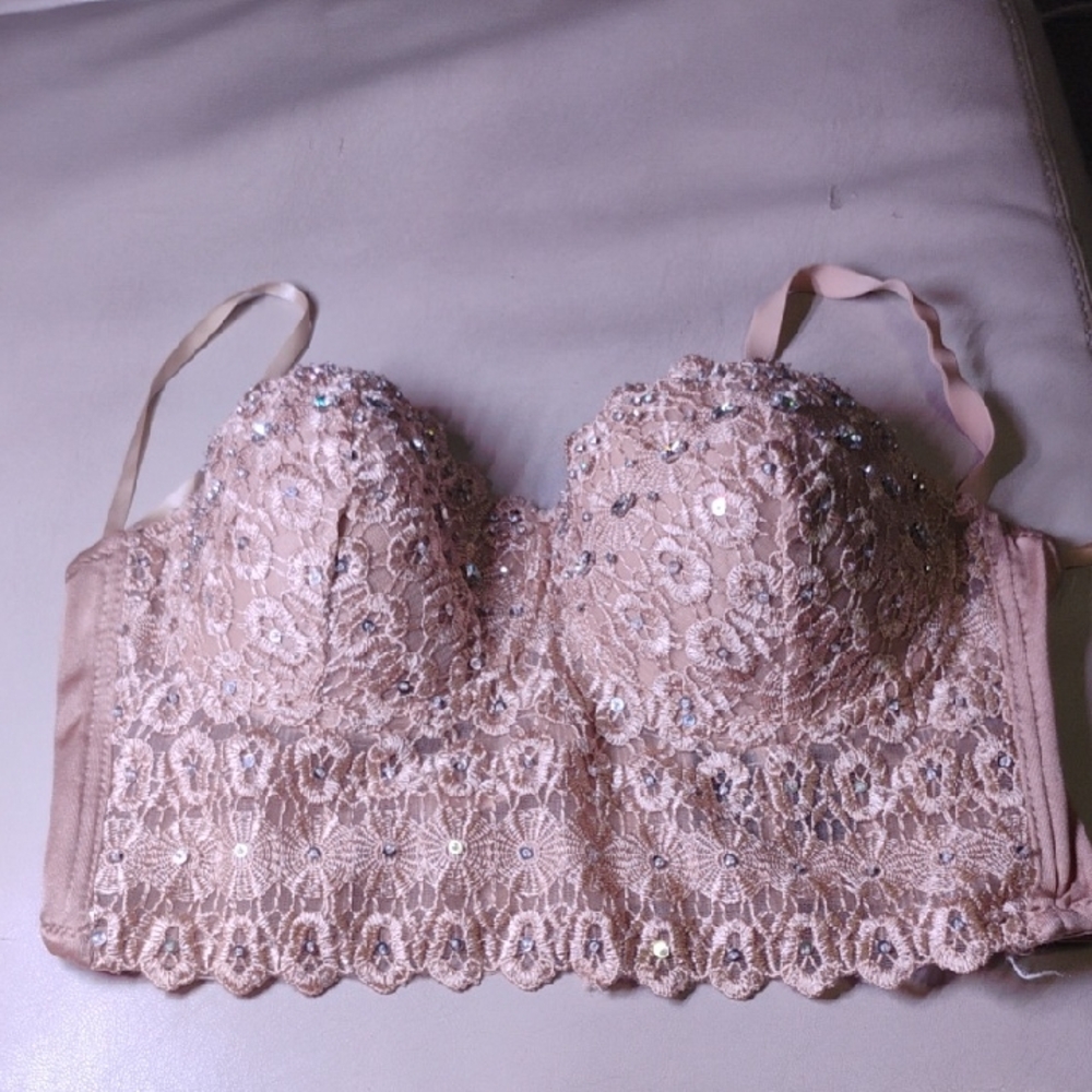 Windsor Sparkling Lace Bra in Pink